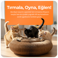 Akıllı Kedi Tırmalama ve Oyun Çemberi