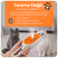 3’ü 1 Arada Buharlı Kedi Tarama Fırçası
