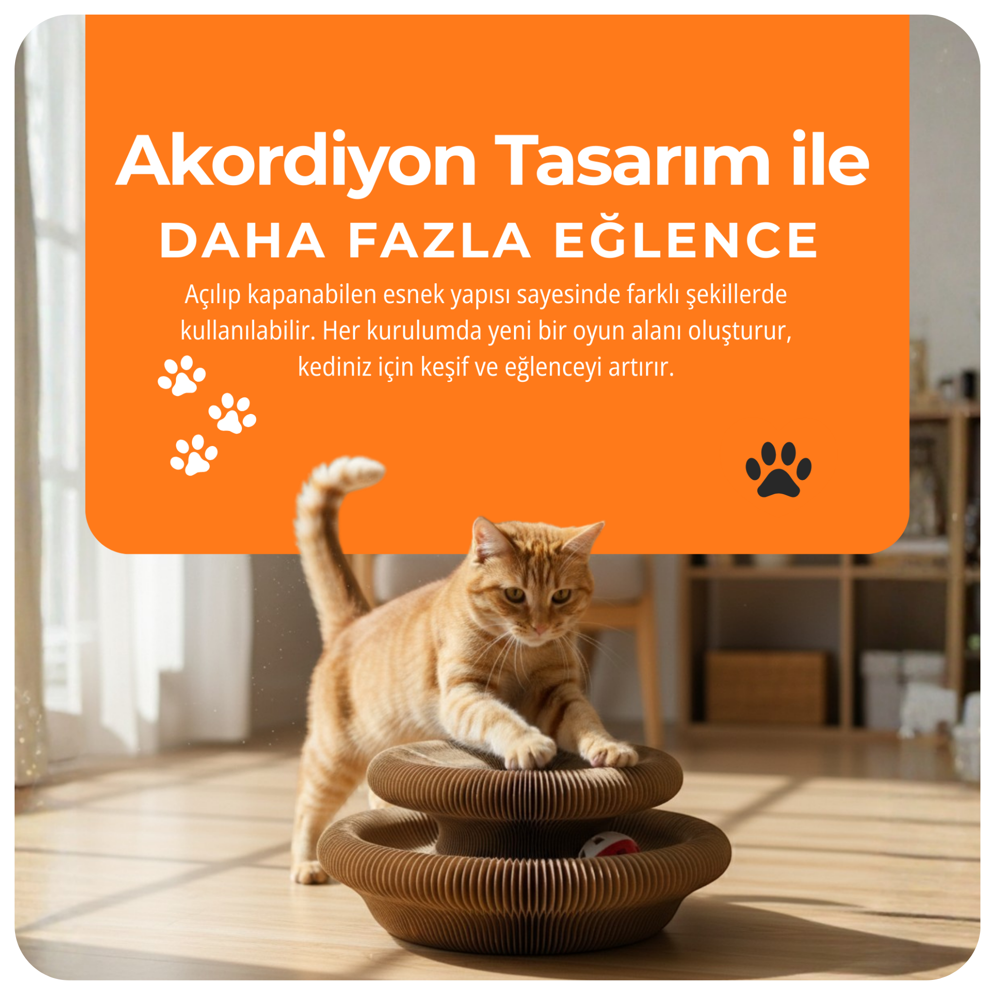 Akıllı Kedi Tırmalama ve Oyun Çemberi